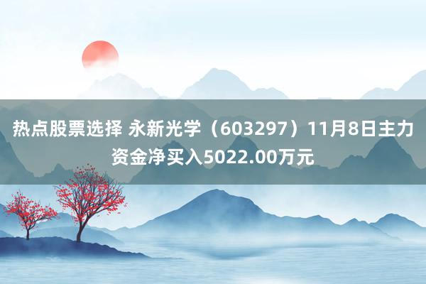 热点股票选择 永新光学（603297）11月8日主力资金净买入5022.00万元