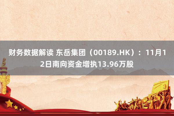 财务数据解读 东岳集团（00189.HK）：11月12日南向资金增执13.96万股