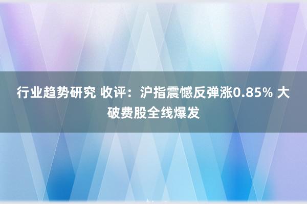 行业趋势研究 收评：沪指震憾反弹涨0.85% 大破费股全线爆发