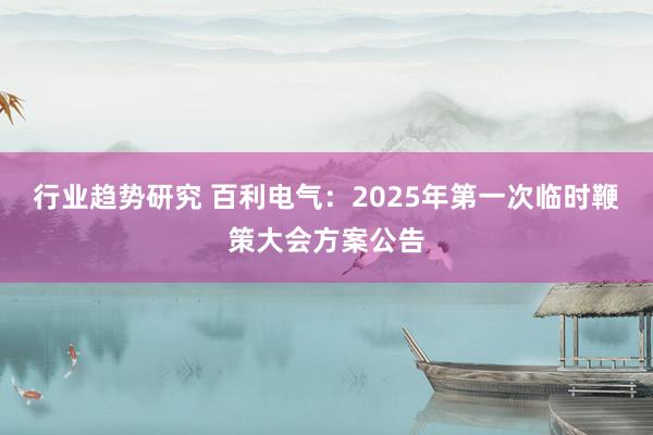 行业趋势研究 百利电气：2025年第一次临时鞭策大会方案公告