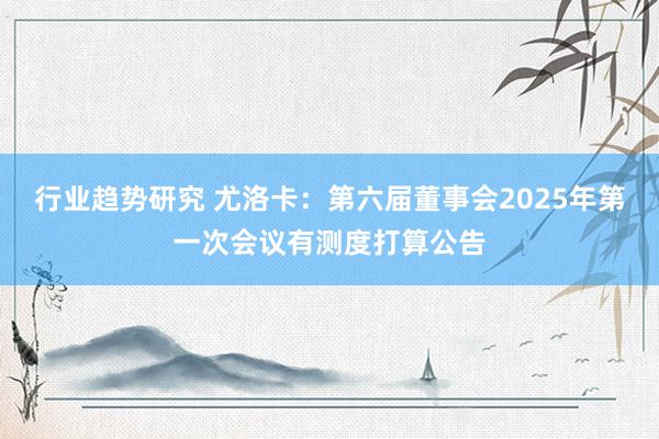 行业趋势研究 尤洛卡：第六届董事会2025年第一次会议有测度打算公告