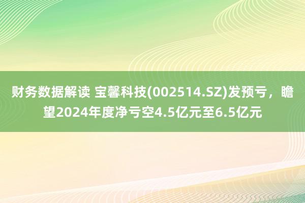 财务数据解读 宝馨科技(002514.SZ)发预亏，瞻望2024年度净亏空4.5亿元至6.5亿元