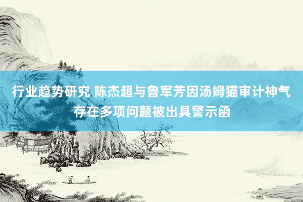 行业趋势研究 陈杰超与鲁军芳因汤姆猫审计神气存在多项问题被出具警示函