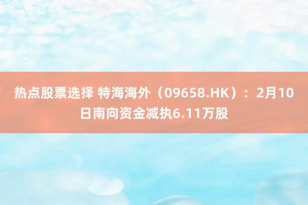 热点股票选择 特海海外（09658.HK）：2月10日南向资金减执6.11万股