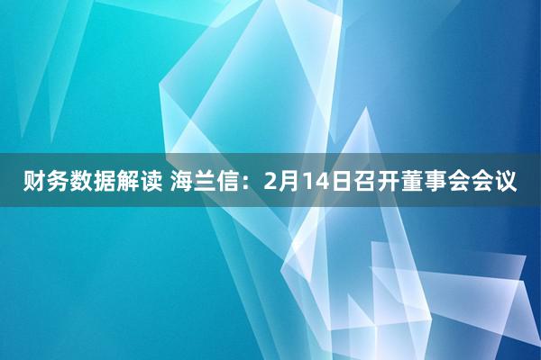 财务数据解读 海兰信：2月14日召开董事会会议