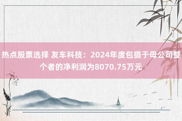 热点股票选择 友车科技：2024年度包摄于母公司整个者的净利润为8070.75万元