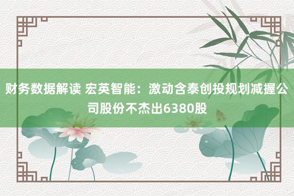 财务数据解读 宏英智能：激动含泰创投规划减握公司股份不杰出6380股