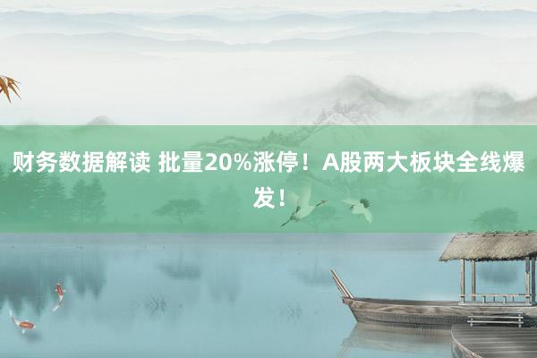 财务数据解读 批量20%涨停！A股两大板块全线爆发！